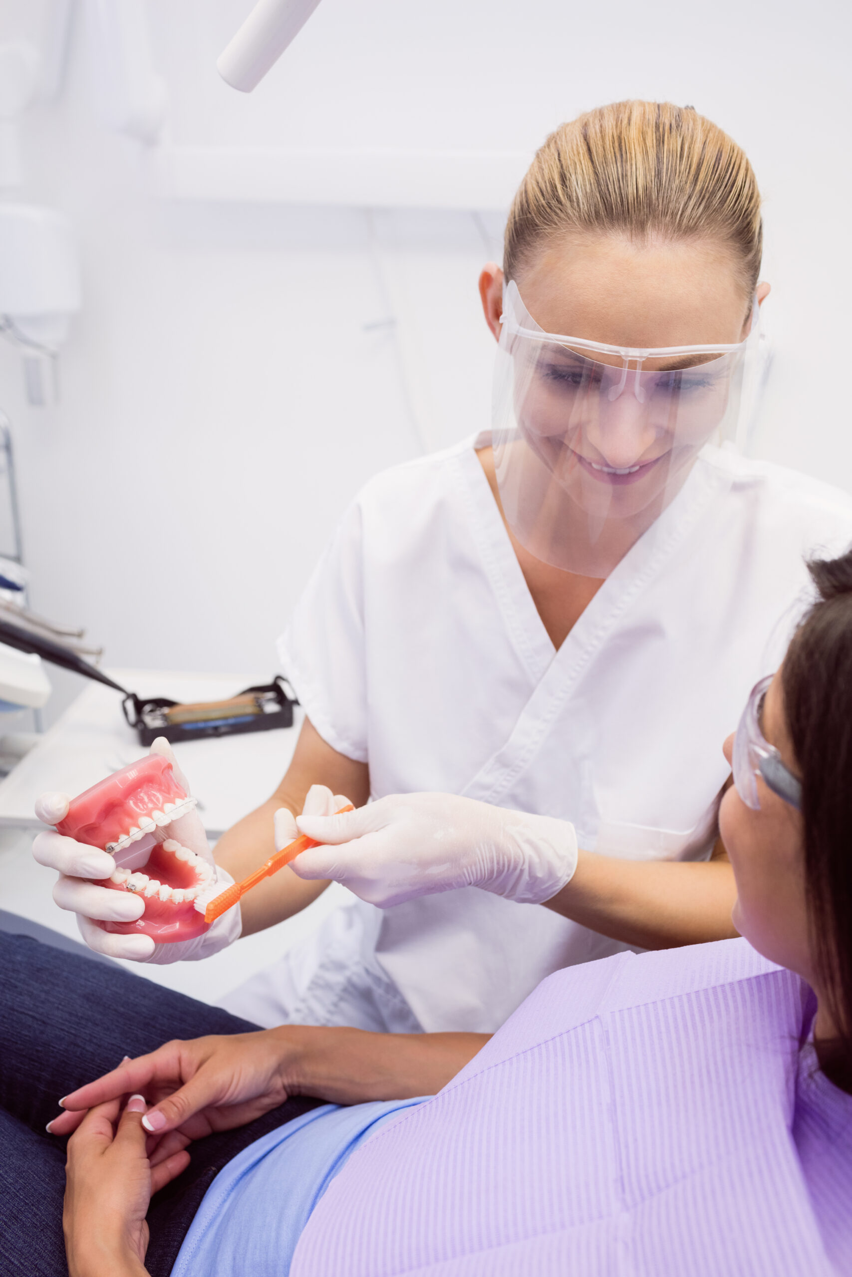 Dentist showing model teeth to female patient in dental clinic